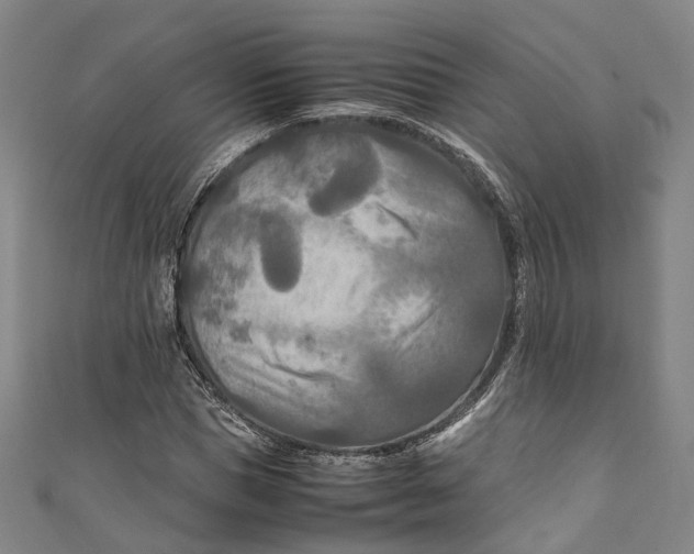 X0000111210921200907221148