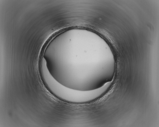 X0000111210924200907221148