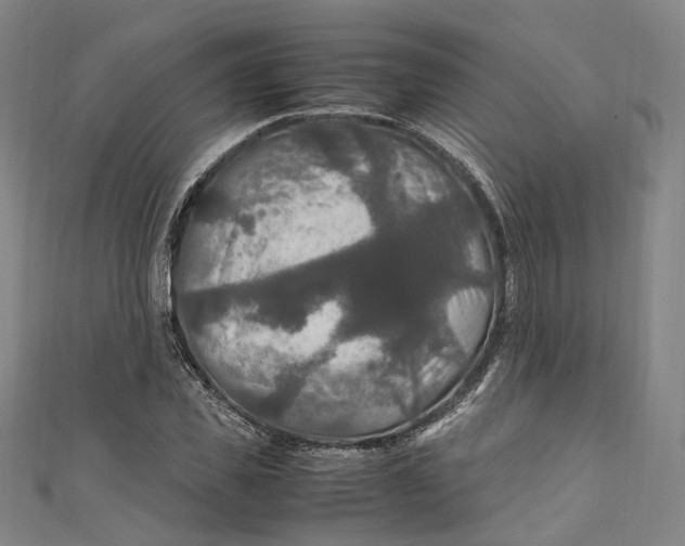 X0000111210925200907221148