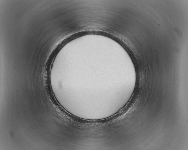 X0000111210926200907221148