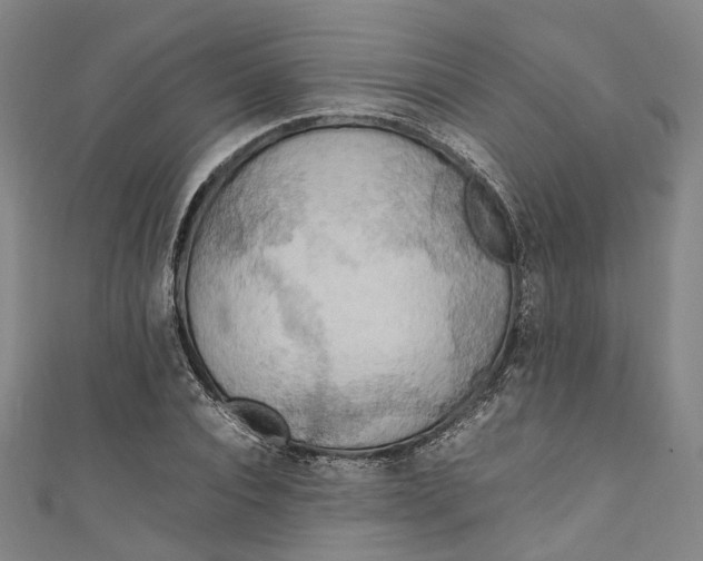 X0000111210928200907221148