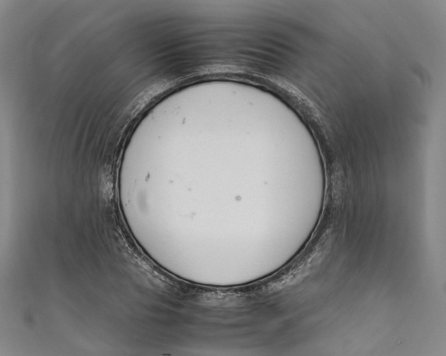 X0000111210929200907221148