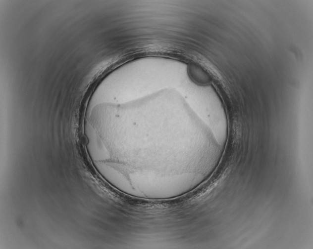 X0000111210930200907221148