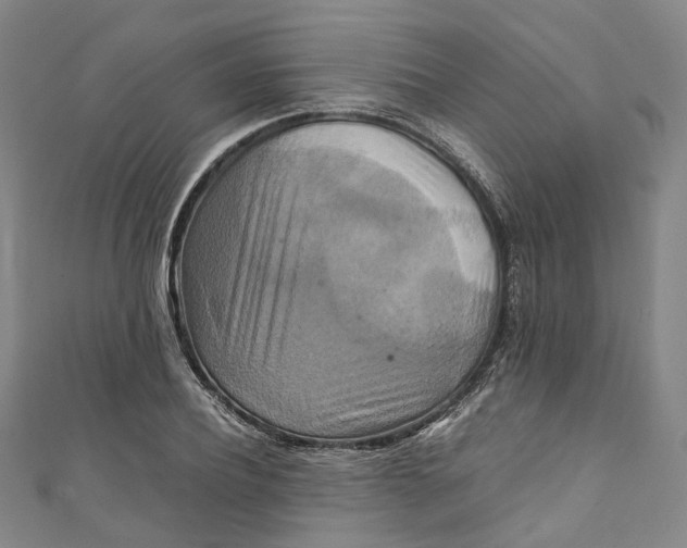 X0000111210932200907221148