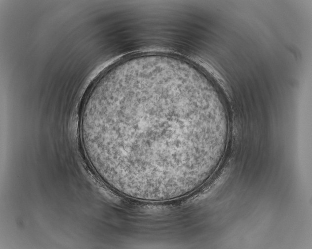 X0000111210933200907221148