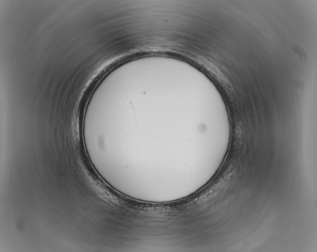 X0000111210934200907221148