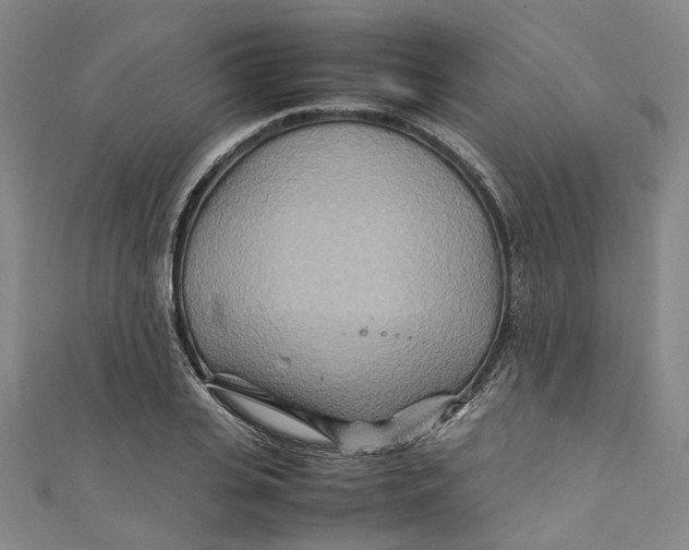 X0000111210935200907221148