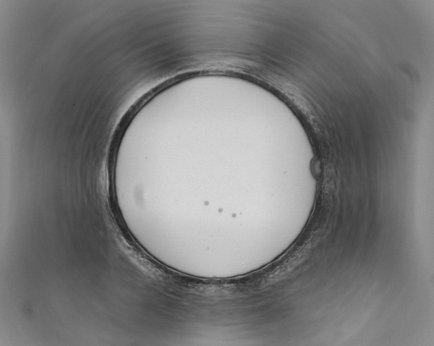 X0000111210936200907221148