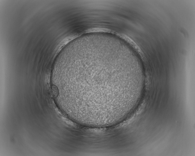 X0000111210937200907221148