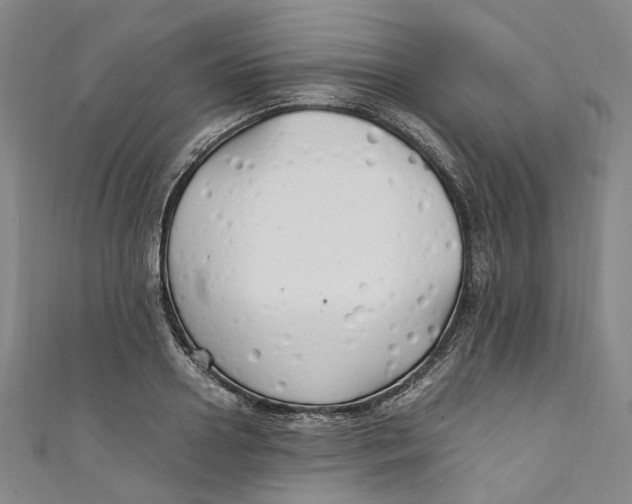 X0000111210938200907221148