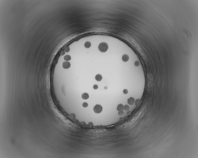 X0000111210939200907221148