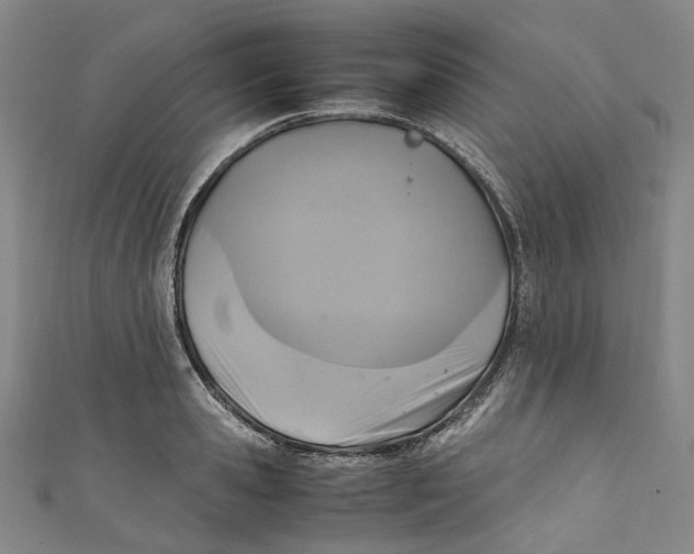 X0000111210941200907221148