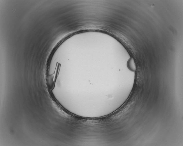 X0000111210942200907221148