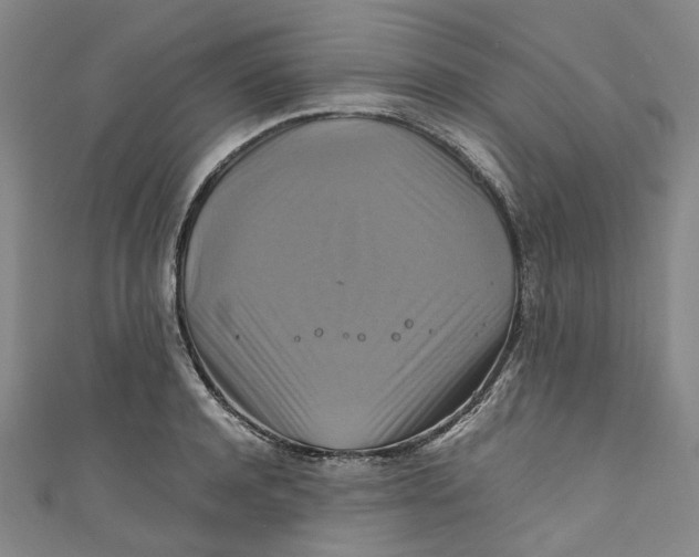 X0000111210944200907221148