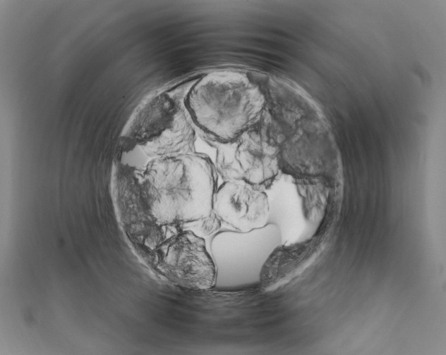 X0000111210945200907221148