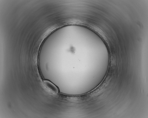 X0000111210946200907221148