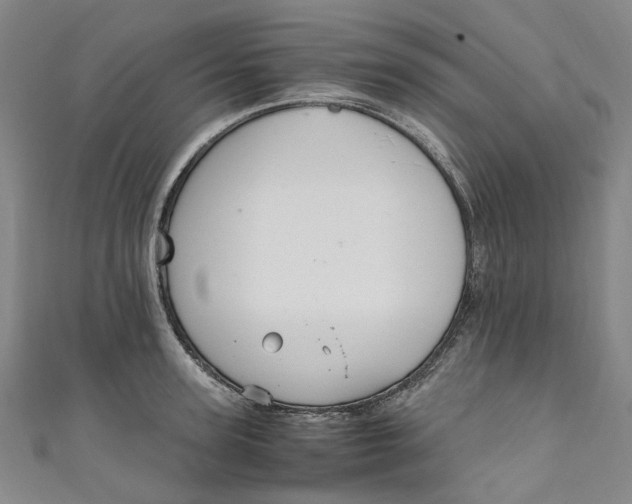 X0000111210947200907221148