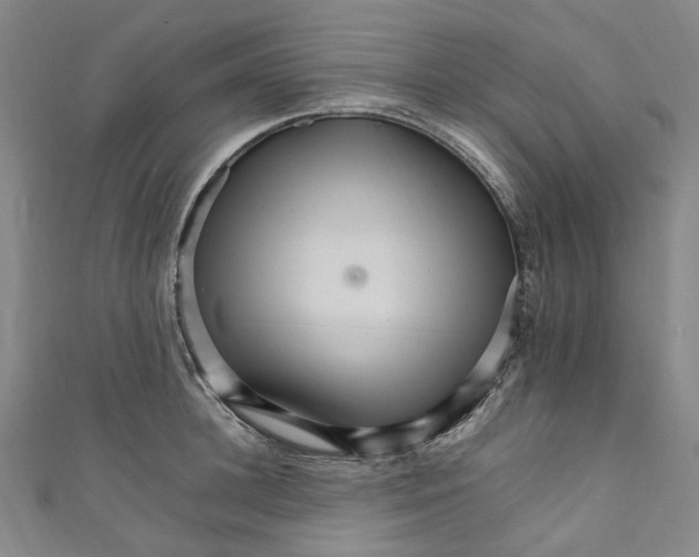 X0000111210948200907221148