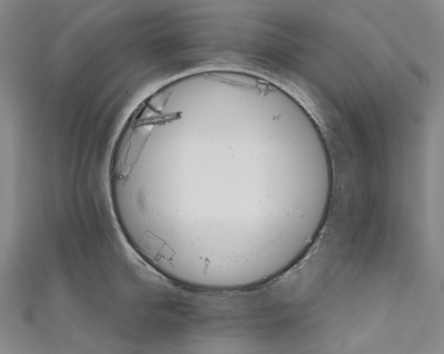 X0000111210950200907221148