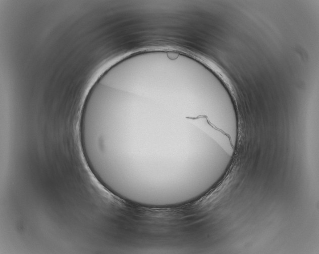 X0000111210951200907221148