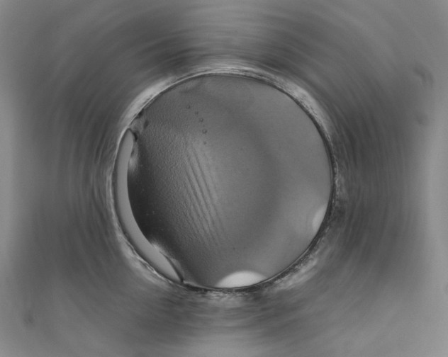 X0000111210954200907221148