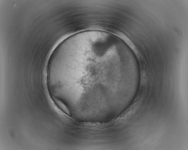 X0000111210955200907221148