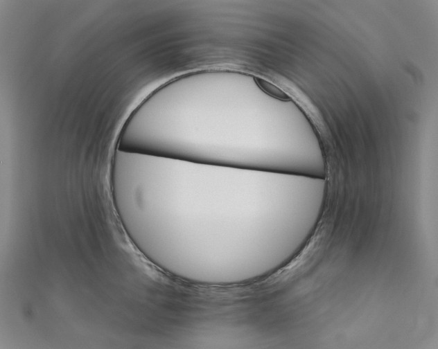 X0000111210956200907221148