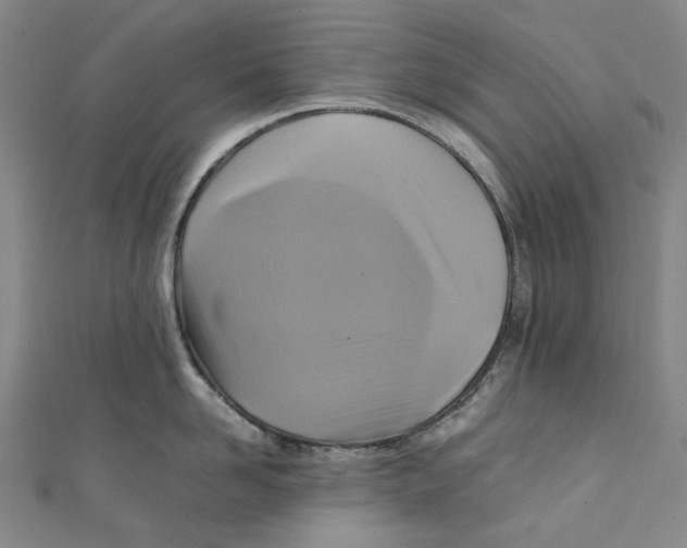 X0000111210958200907221148