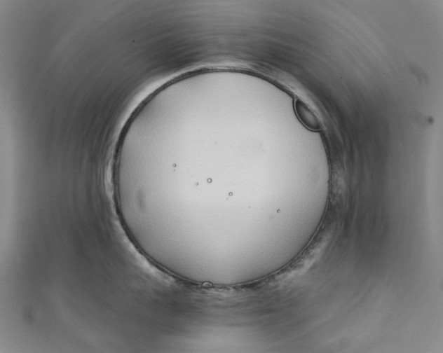 X0000111210959200907221148