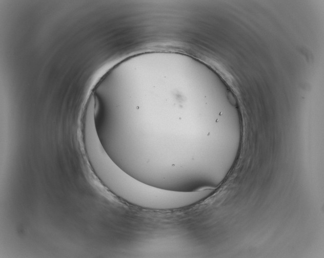 X0000111210960200907221148