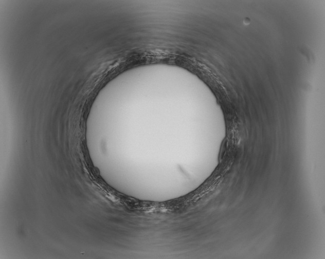 X0000111210961200907221148