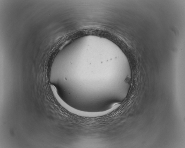 X0000111210965200907221148