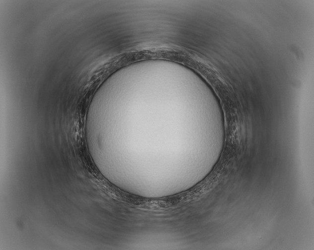 X0000111210966200907221148