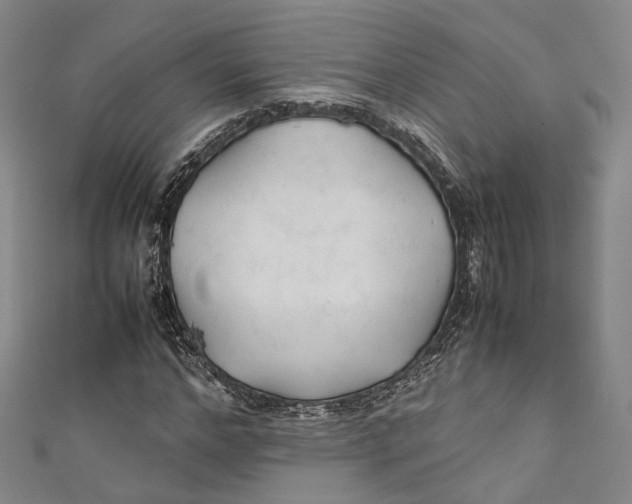 X0000111210968200907221148