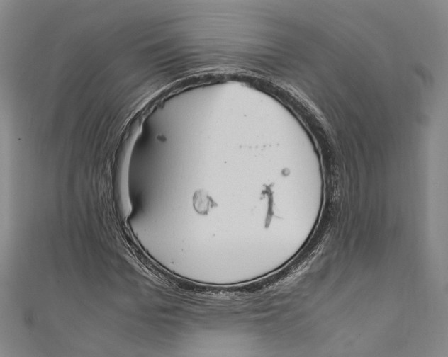 X0000111210969200907221148