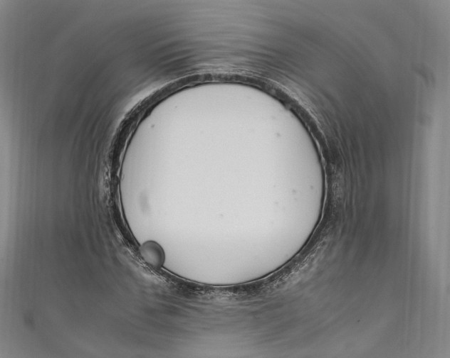 X0000111210971200907221148