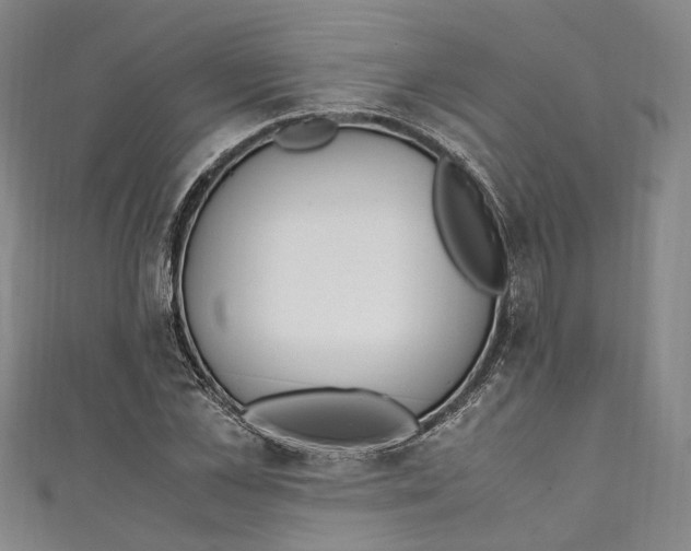 X0000111210973200907221148