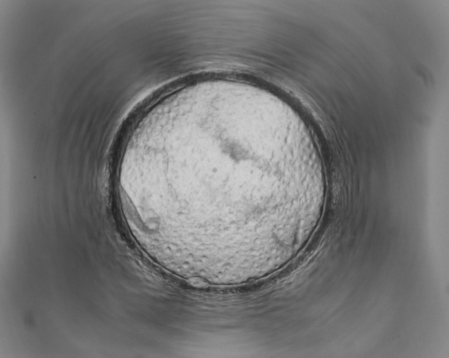 X0000111210975200907221147