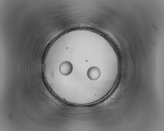 X0000111210977200907221147