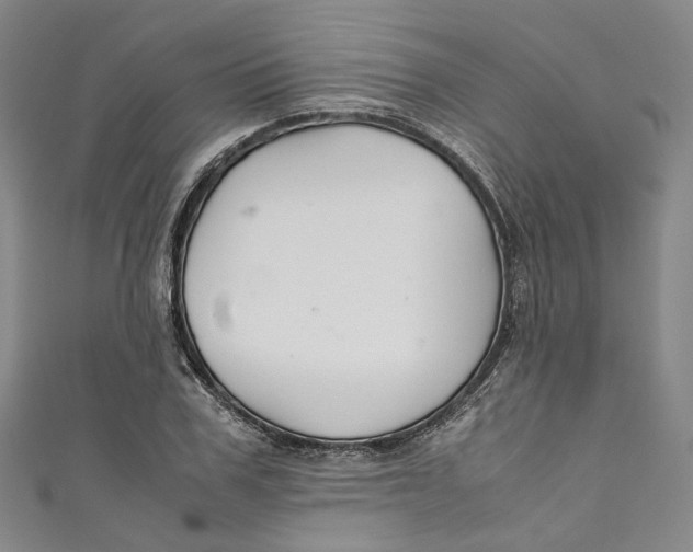 X0000111210979200907221147