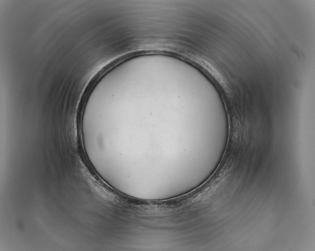 X0000111210980200907221147