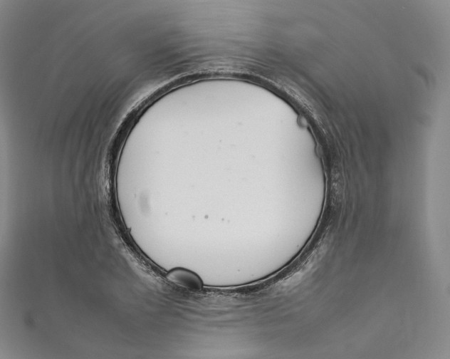 X0000111210981200907221147