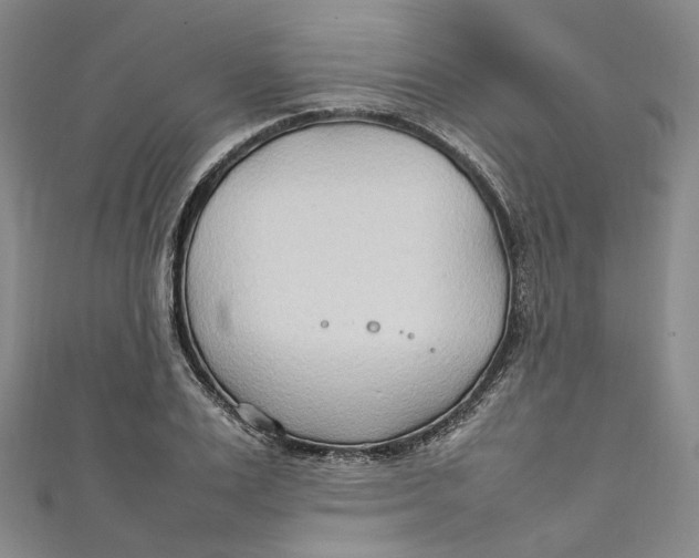 X0000111210983200907221147