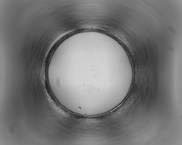 X0000111210984200907221147