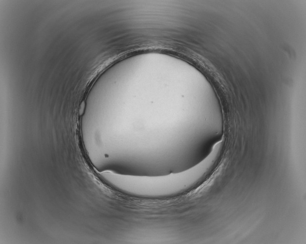 X0000111210985200907221147