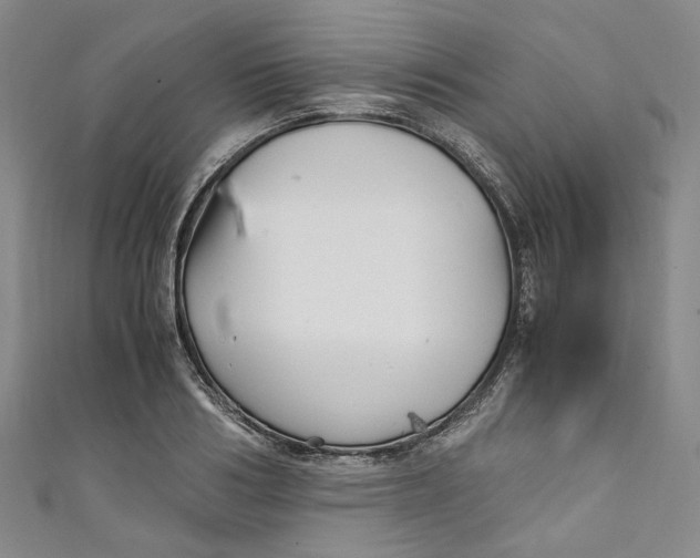 X0000111210986200907221147