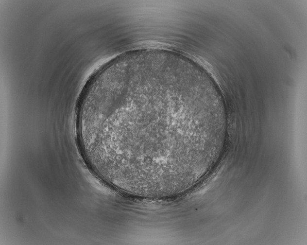 X0000111210987200907221147