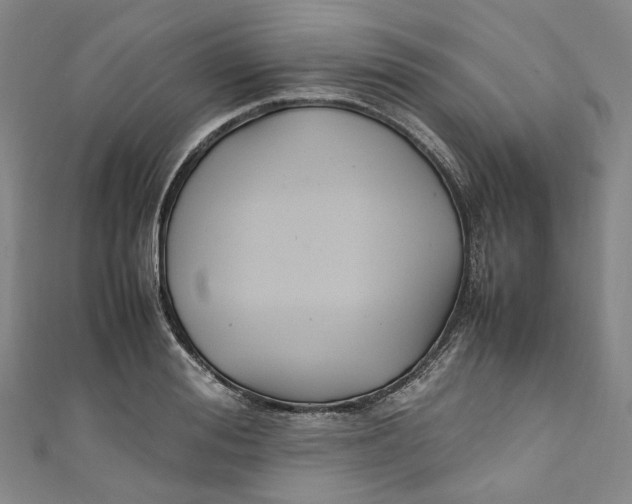 X0000111210988200907221147