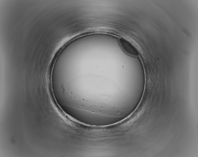 X0000111210989200907221147