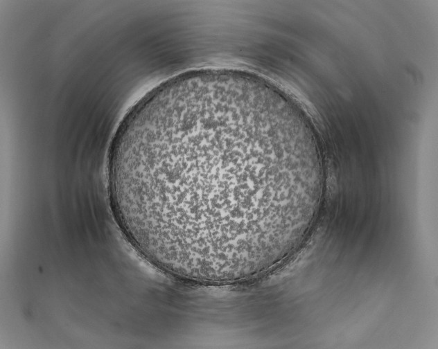 X0000111210990200907221147